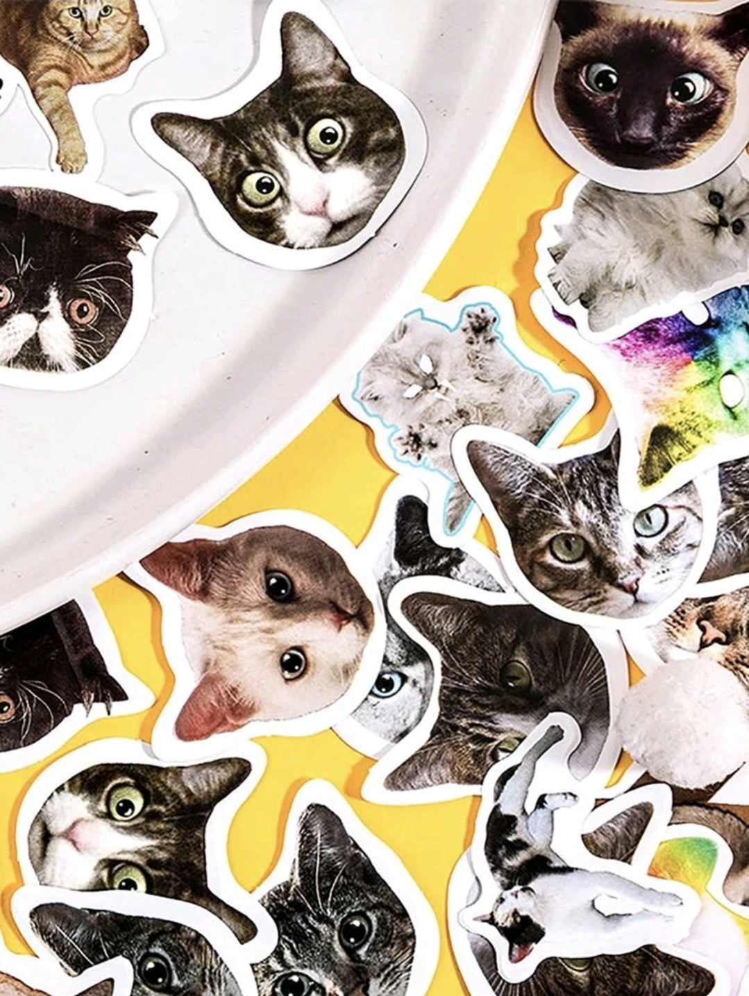 50 STICKERS DE GATITOS