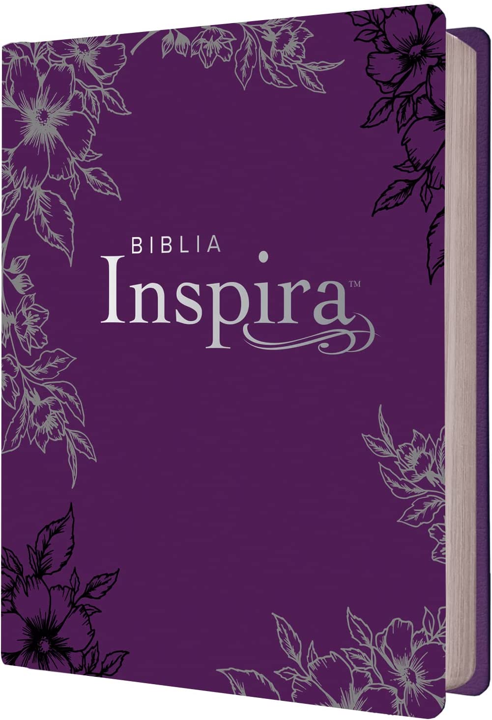 Biblia de Apuntes Ilustrada Inspira NTV
