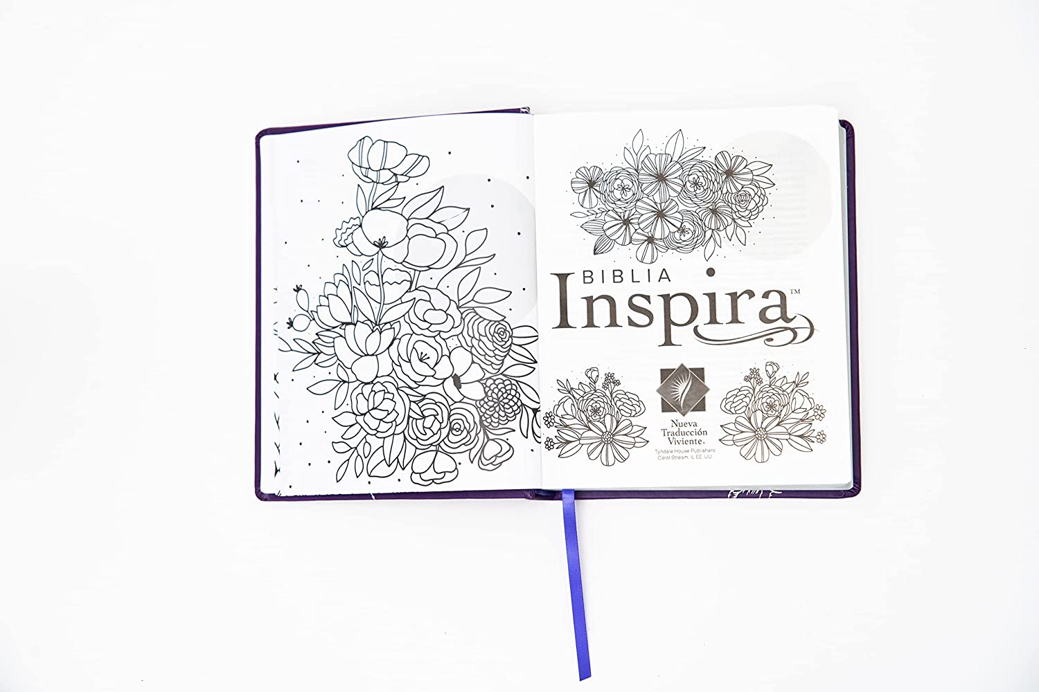 Biblia de Apuntes Ilustrada Inspira NTV