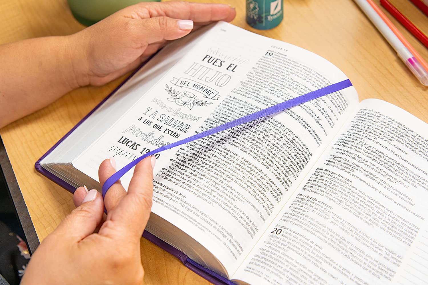Biblia de Apuntes Ilustrada Inspira NTV