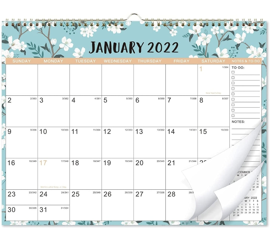 Calendario Anual Para Organización
