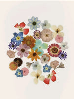 40 STICKERS DE FLORES NATURALES